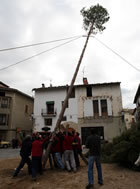 Alçant el maig