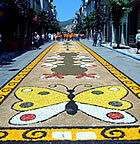 Les catifes omplen els carrers
