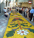 Catifa amb motius florals