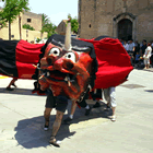Cucafera de Castellbisbal