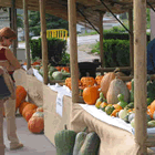 Parada de venda de carbasses