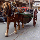 Cavall tirant d'una bóta