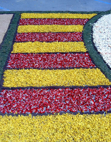 Els colors de la senyera