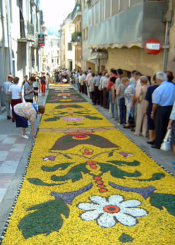 Catifa amb ginesta