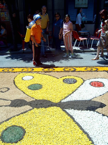 Refrescant les flors amb aigua