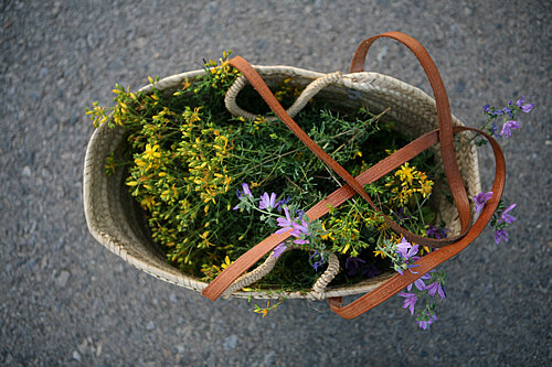 Cistell ple d'Herba de Sant Joan