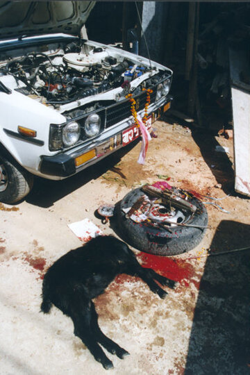 El cabrit sacrificat