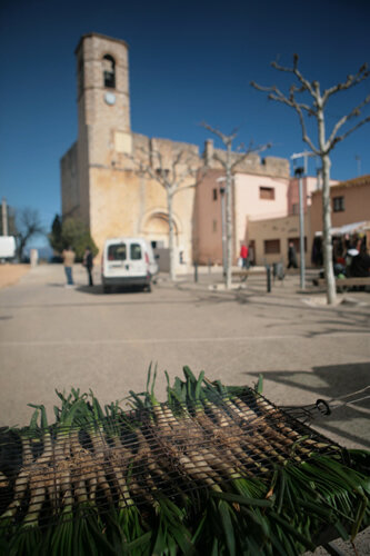 Calçots i l'església del poble