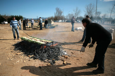 Coent calçots