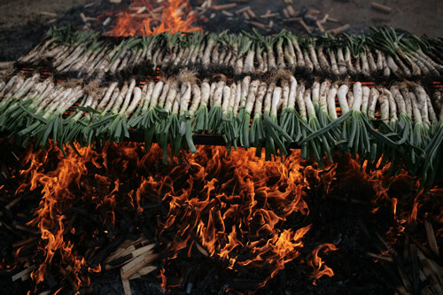 Calçots al foc