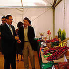 La Mostra de Cireres