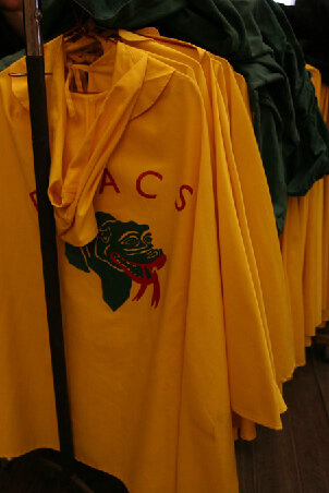 Indumentària dels Dracs