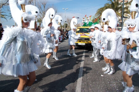Disfressats de cigne blanc