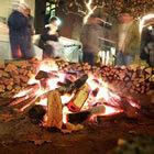 Foc de Nadal