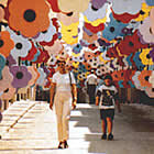 Passeijant sota les flors d'un carrer