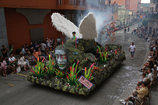 Carrossa de la colla Diversàlia