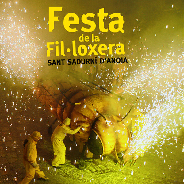Festa de la Fil·loxera. El DVD