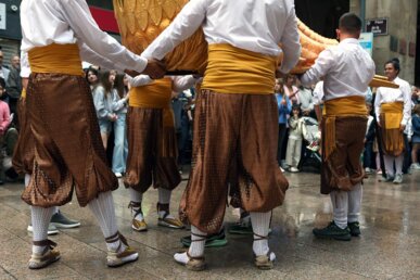 Els portadors