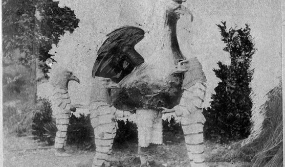 Foto més antiga de l'Àliga de Valls. Foto: Ramon Rozada (AMV) amb data anterior a 1901