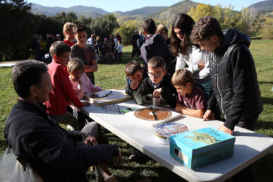 Jugant amb les virolles