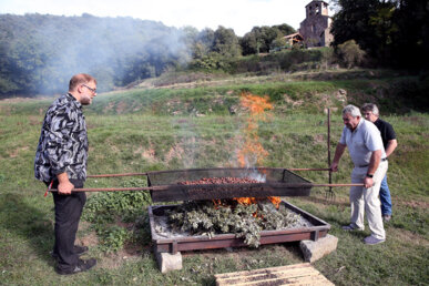 Torrada de castanyes