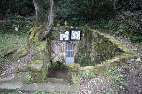 Font de Sant Medir