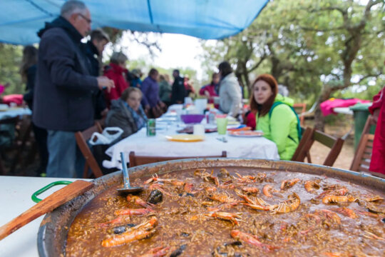 Arròs participant al Concurs d'Arrossades