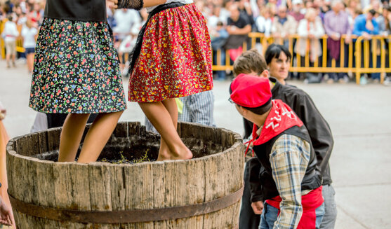 Bacus. Festa de la Verema i el Vi de Verdú