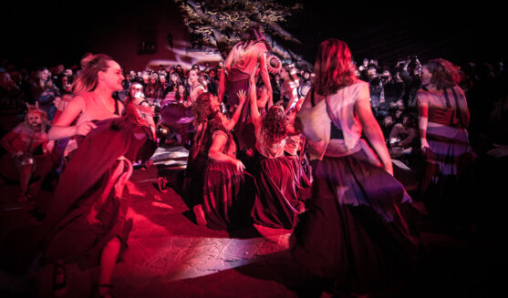 Fira de Bruixes i Fes-ta Bruixa de Sant Feliu Sasserra