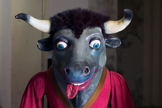 El brau Constantí