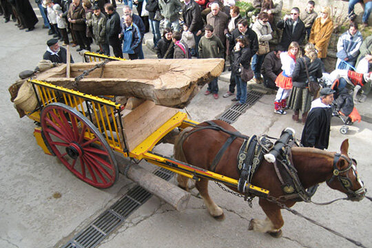 Carro traginant fusta