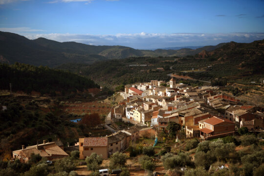 Cabassers, rodejat d'oliveres