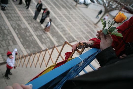 Ballesta fent arribar una flor