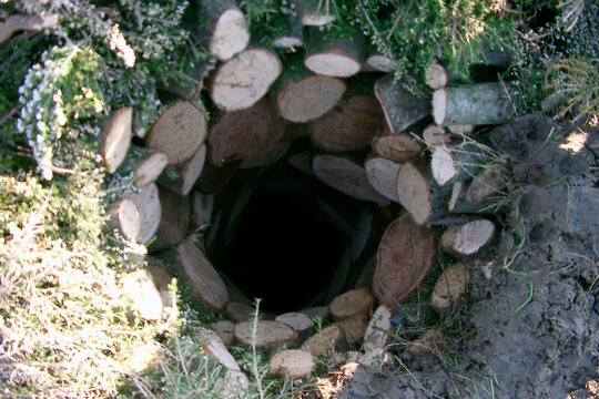 Ull de la carbonera