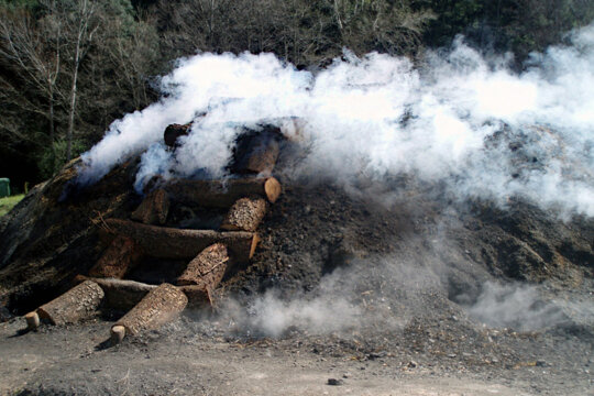 La carbonera fumejant