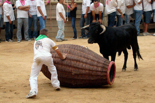 Cargolera del correbou de Cardona. Foto: Pasquina