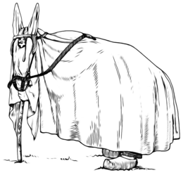 Bous i mules de Carnaval