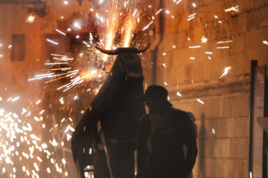 Bou de foc. Foto: Niepce/Arxiu IMRC