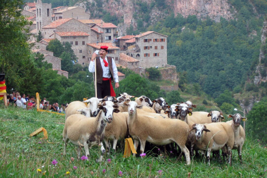 El pastor amb el ramat d'ovelles