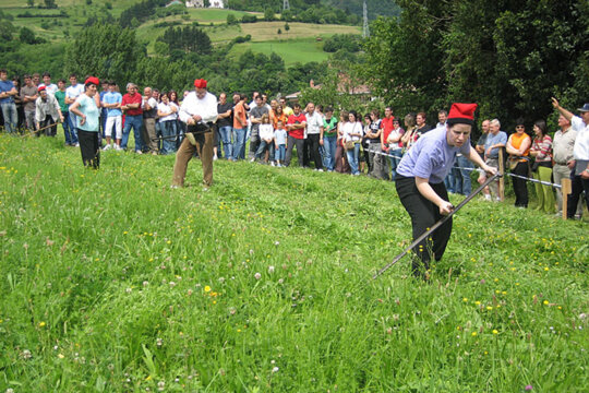 Dalladora catalana en un concurs de Tolosa l'any 2006