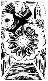 Catifes de flors