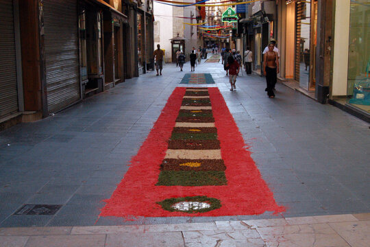 Una de les catifes