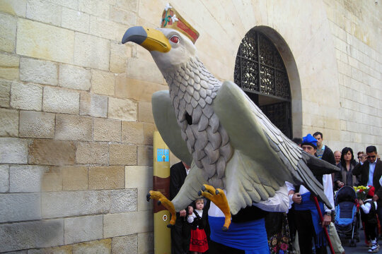 L'àliga de Lleida