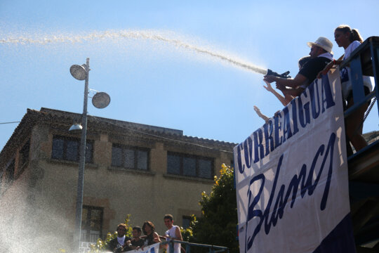 Mànega d'aigua