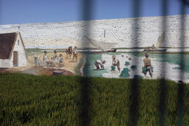 Mural dedicat als arrossaires