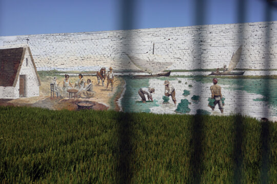 Mural dedicat als arrossaires