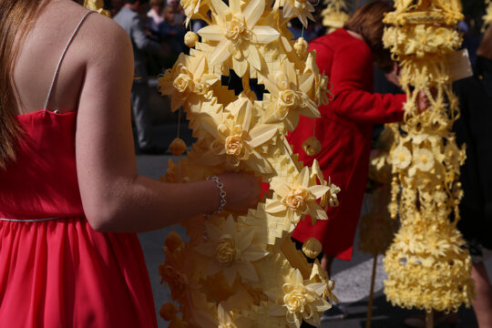 Palmes gegants Setmana Santa