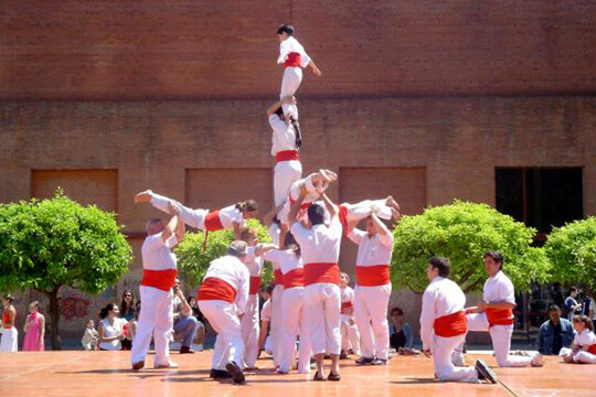 Les planxes dels Falcons de Barcelona. Foto: Falcons de Barcelona