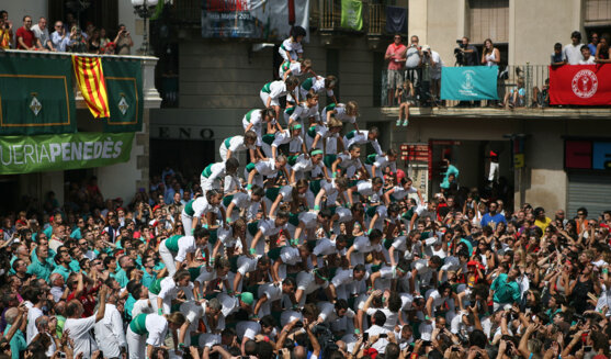 Els falcons