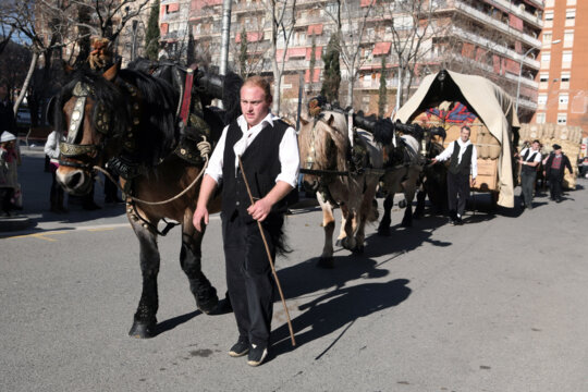Carro de quatre enganxalls carregat de mercaderies
